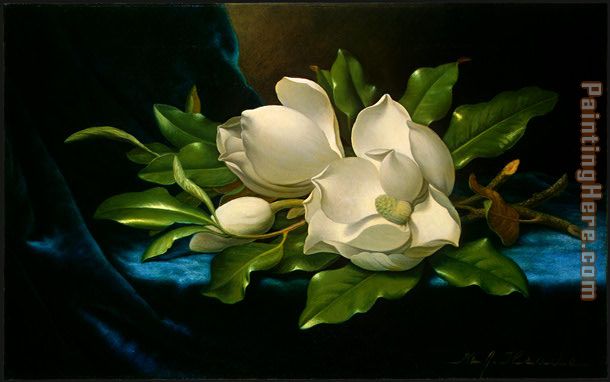 Giant Magnolias on a Blue Velvet Cloth painting - Martin Johnson Heade Giant Magnolias on a Blue Velvet Cloth art painting